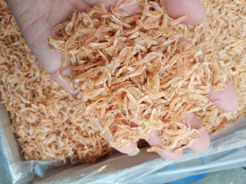 大红虾皮，淡干，无沙