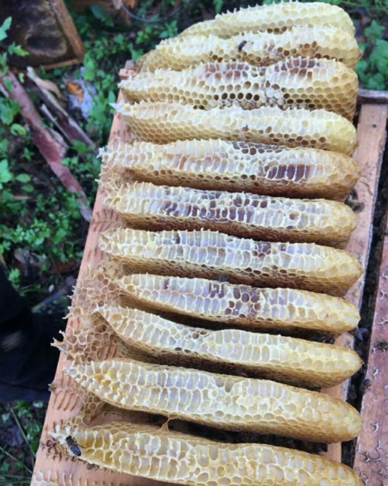 纯正蜂蜜，原滋原味