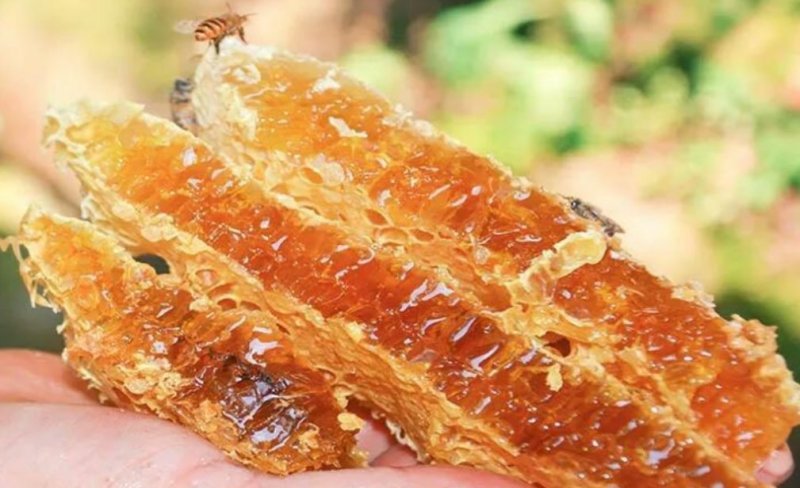 纯正蜂蜜，原滋原味