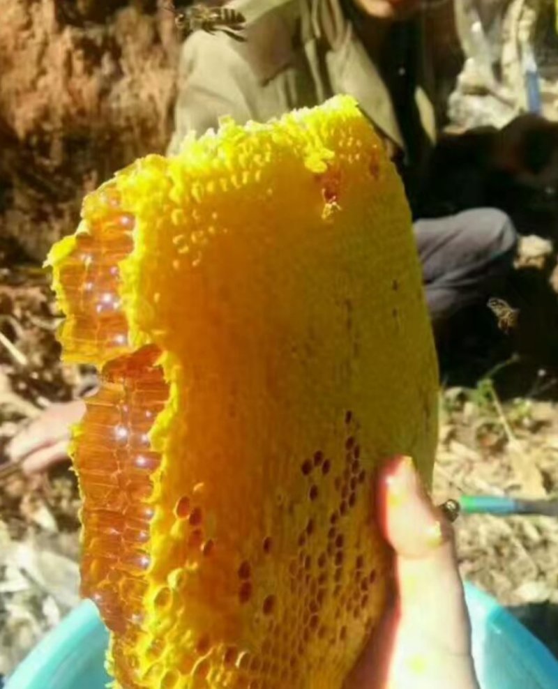 纯正蜂蜜，原滋原味
