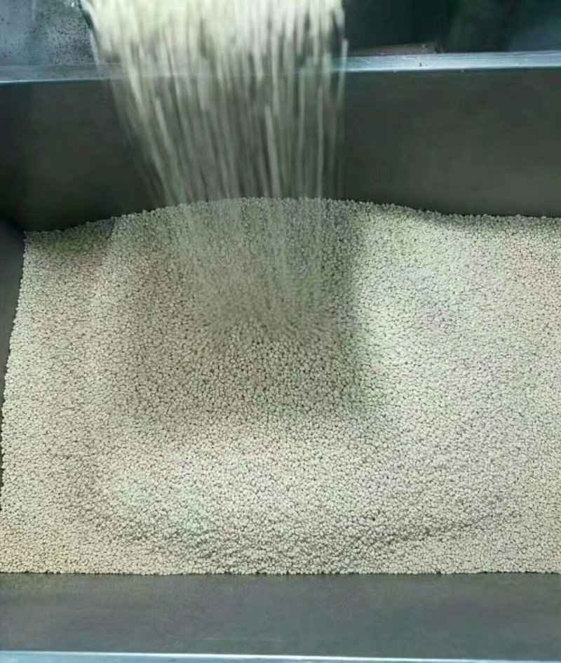 坚果