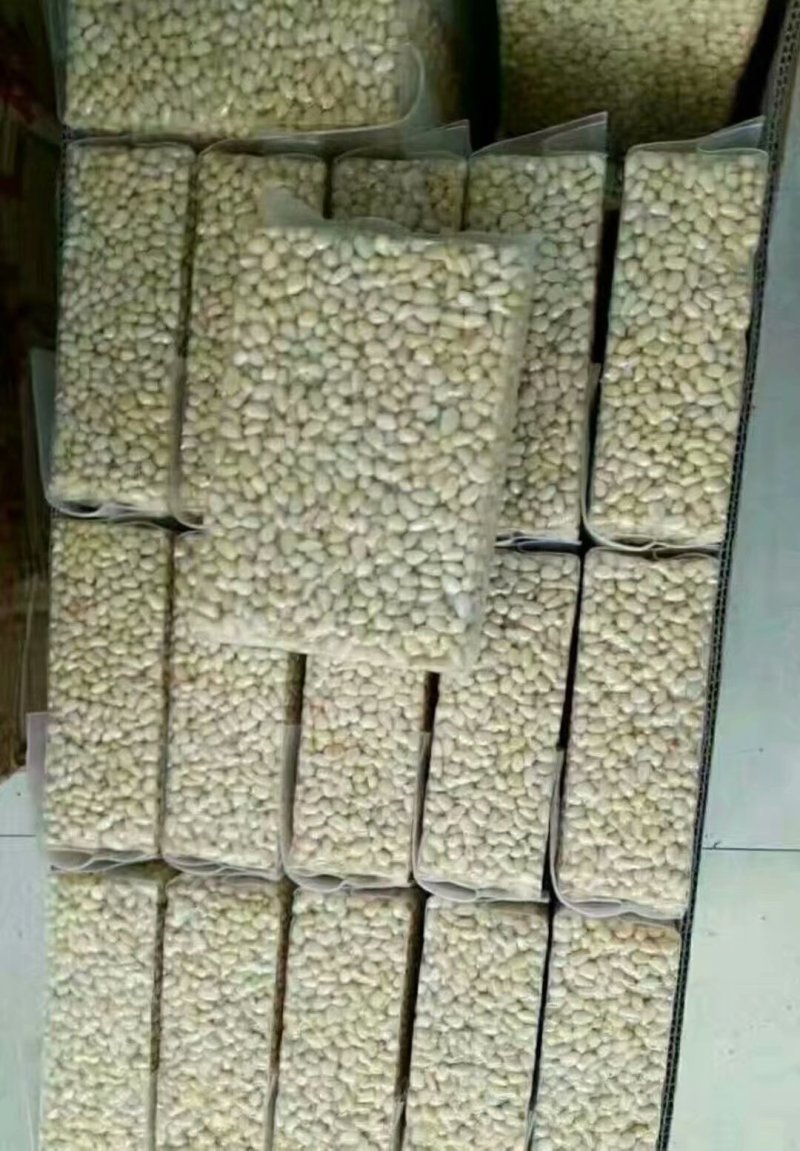 坚果