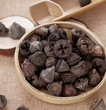 一口钟桉树果云南白树球金钟菩提扣子七胜利果
