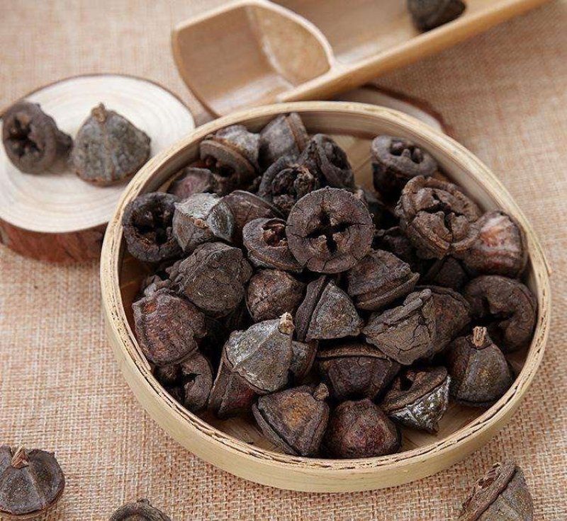一口钟桉树果云南白树球，金钟菩提扣子七，胜利果