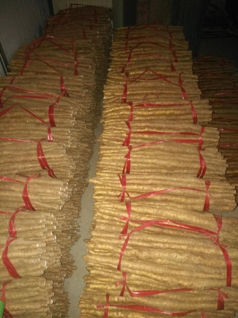 铁棍山药