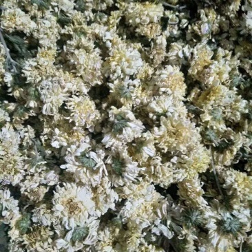 铁棍山药