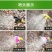 电动喷雾器，农业，森林，工厂，医院杀虫消毒