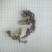 小苦菜5~10厘米