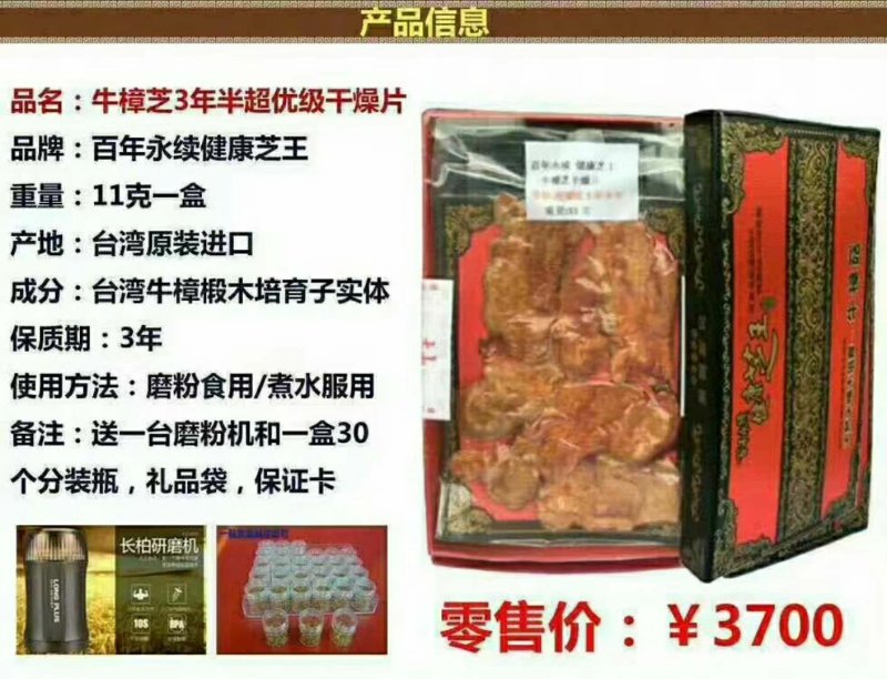牛樟菇