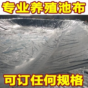 土工膜防渗膜鱼池鱼塘防水膜养殖膜藕池防渗专用黑色