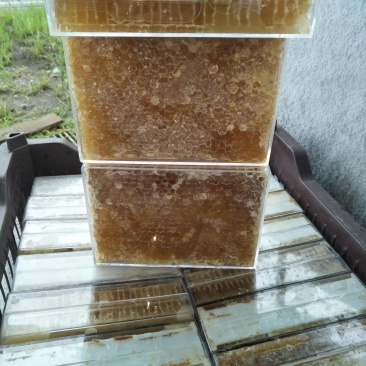 蜂巢蜜，青海蜂巢蜜，油菜花蜜炒面，青海百花蜂巢蜜