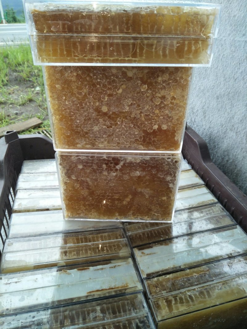 蜂巢蜜，青海蜂巢蜜，油菜花蜜炒面，青海百花蜂巢蜜