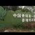 大竹红香椿上市了