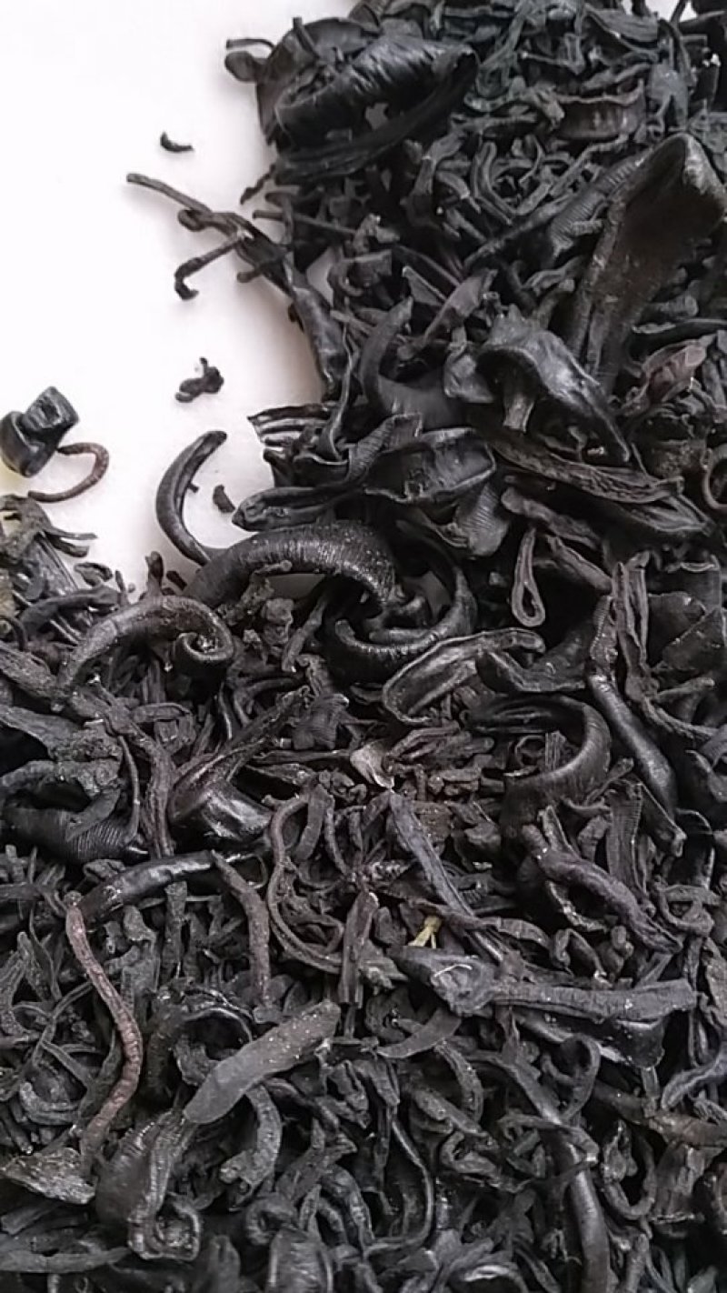 小水蛭，中药材小水蛭，饲养水蛭