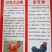 鸡苗厂家直供包成活