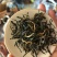 红茶滇红普洱茶香甜型特级金丝蜜香红茶活动价