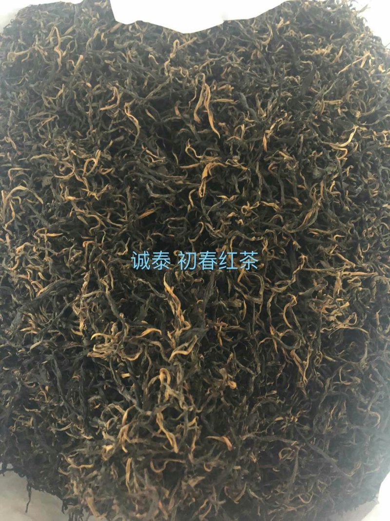 红茶滇红普洱茶香甜型特级金丝蜜香红茶活动价