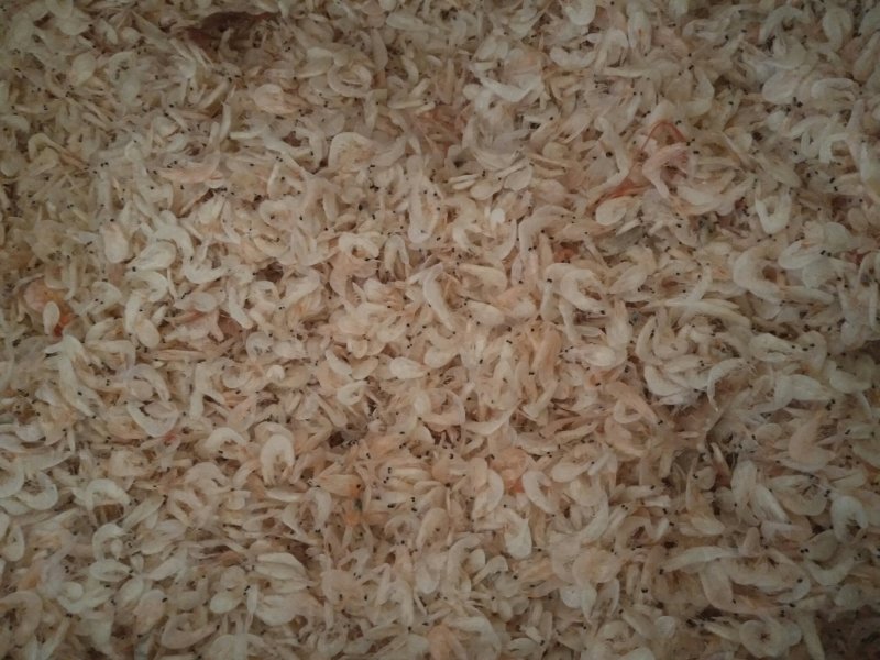 虾皮500g野生虾皮