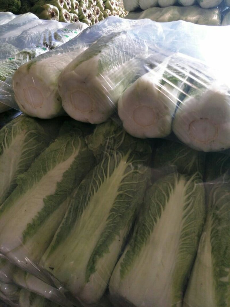 万亩冬储窖藏大白菜（北京三号）大量供应，货源充足