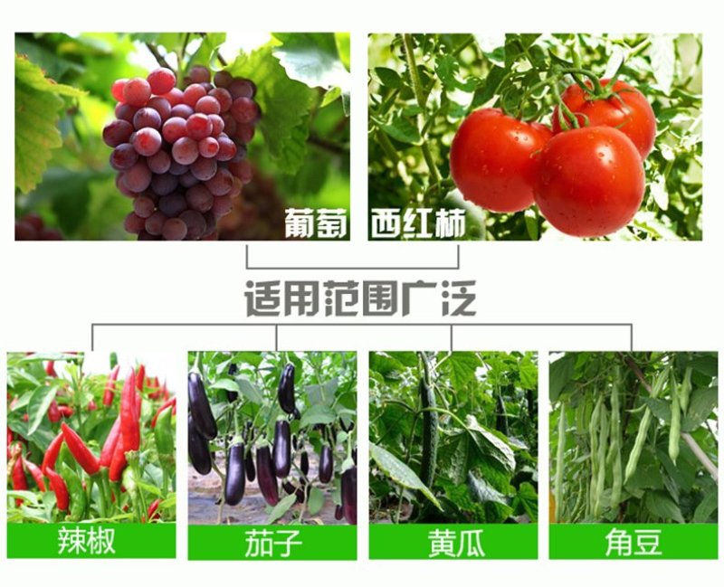 绑枝机专用胶带绑枝钉番茄辣椒绑枝机黄瓜绑蔓器蔬果苗木绑蔓