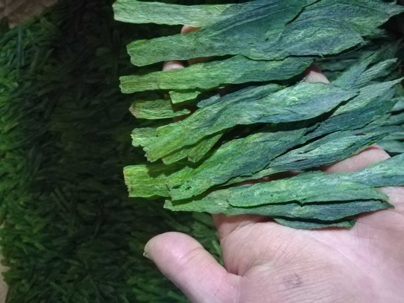 太平猴魁，布尖，自家种植！
