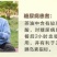 油茶苗，两年生嫁接油茶小杯苗30公分/65公分高