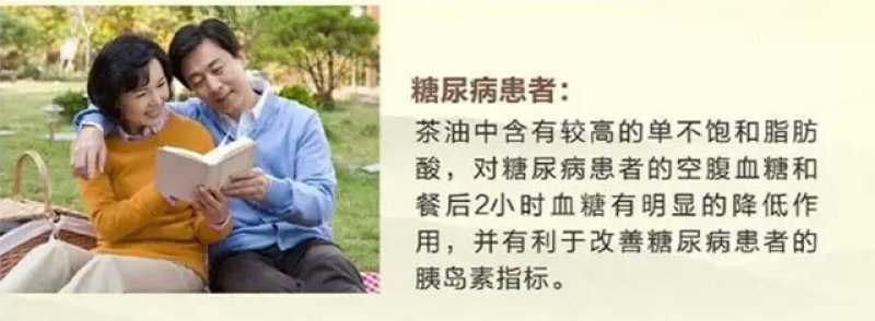 油茶苗，两年生嫁接油茶小杯苗30公分/65公分高