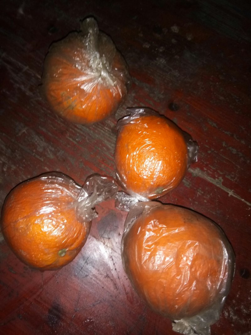广西桂林全州纽荷尔脐橙诚信代办小李