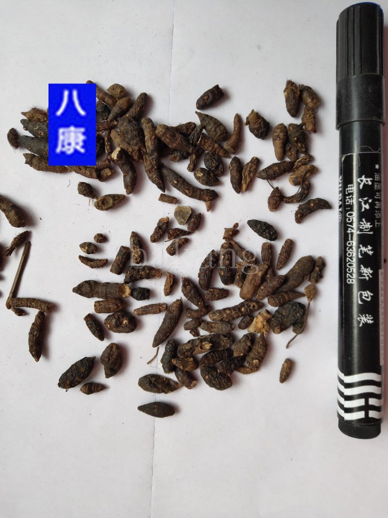 香附子个米批发诚信经营支持一件代发支持混批