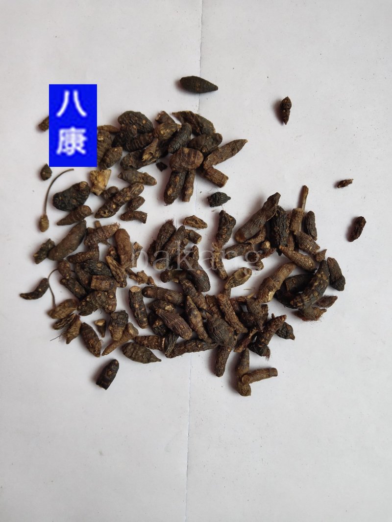 香附子个米批发诚信经营支持一件代发支持混批