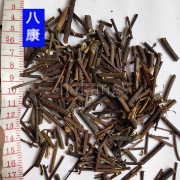 钩藤01统批发零售统货