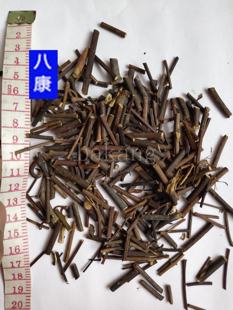 钩藤01统批发零售统货