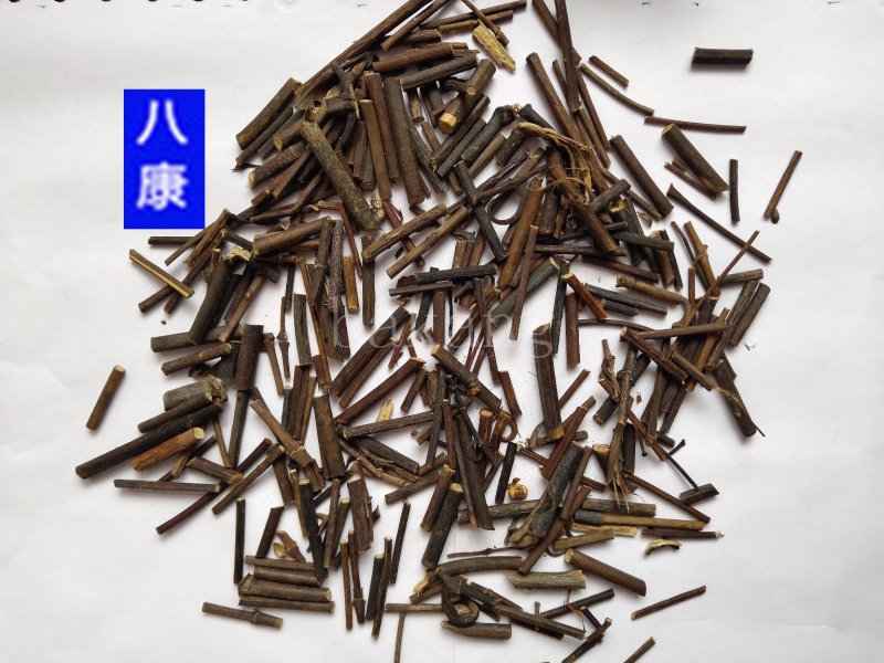 钩藤01统批发零售统货
