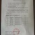 纽荷尔脐橙苗