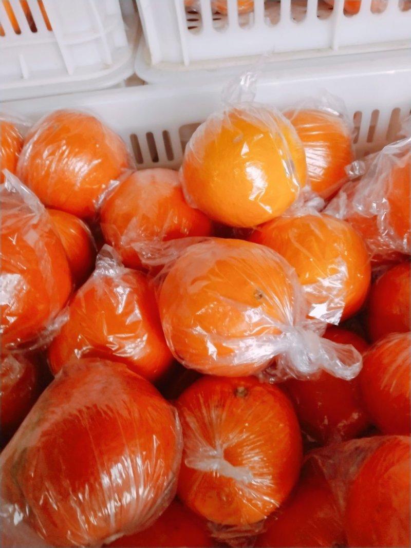 湖南湘西纽荷尔脐橙，包袋果，表皮细腻颜色红，口感甜无麻点