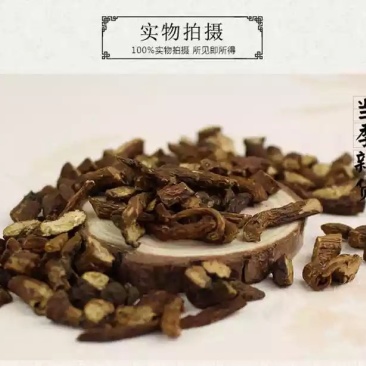 蒲公英根茶1斤包邮