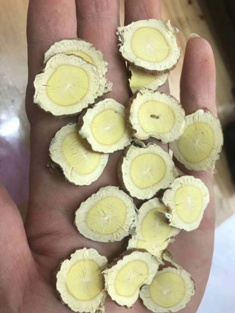 出口型野生黄芪