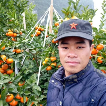 广西壮族自治区桂林市阳朔县沙糖桔阳光代购！