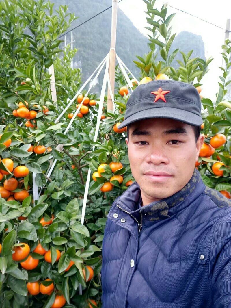 广西壮族自治区桂林市阳朔县沙糖桔阳光代购！