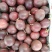 云南百香果