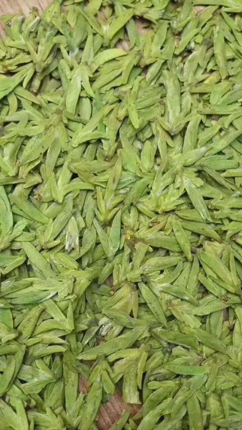 西湖龙井茶