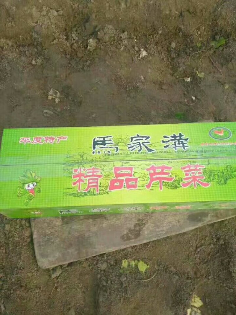马芹60厘米清香脆