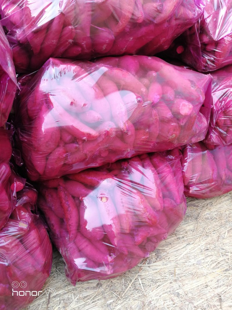 龙薯九，1-3两小红薯，手拣精品大量批发