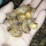 颗粒冻金蝉
