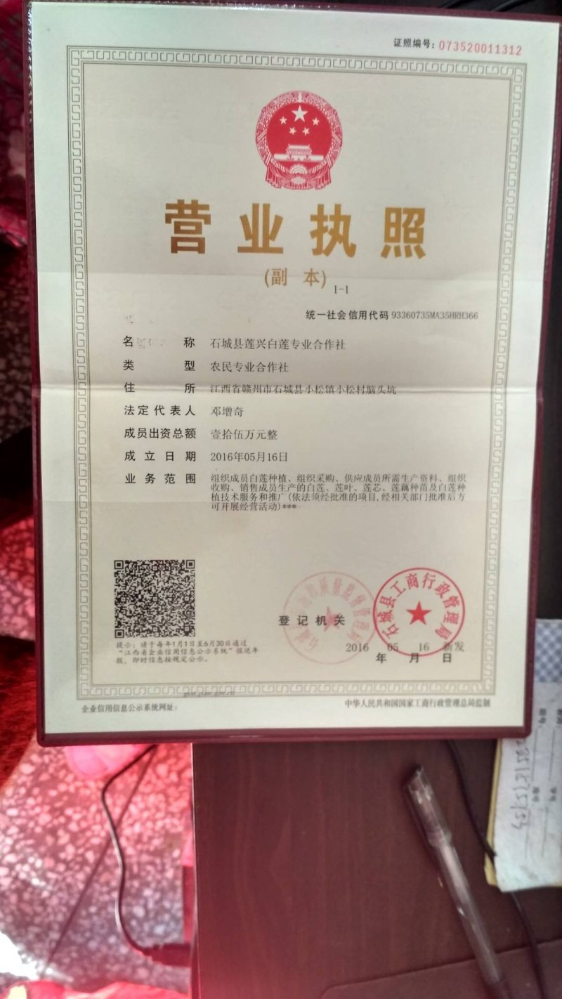 太空莲36号种苗莲子种苗莲藕种苗高产莲子苗观赏荷花苗红花