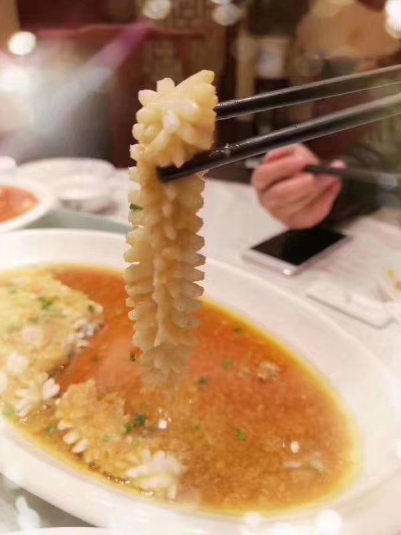 鱿鱼花