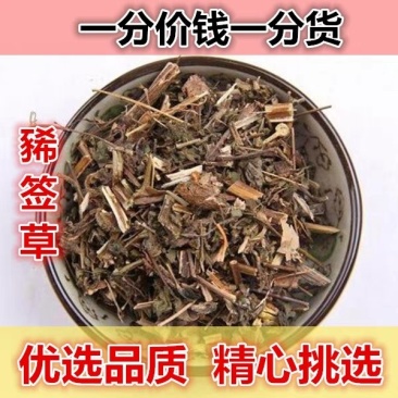 豨莶草稀签草豨签草粘不牙各种中药材批发稀茜草