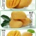 海南小台农