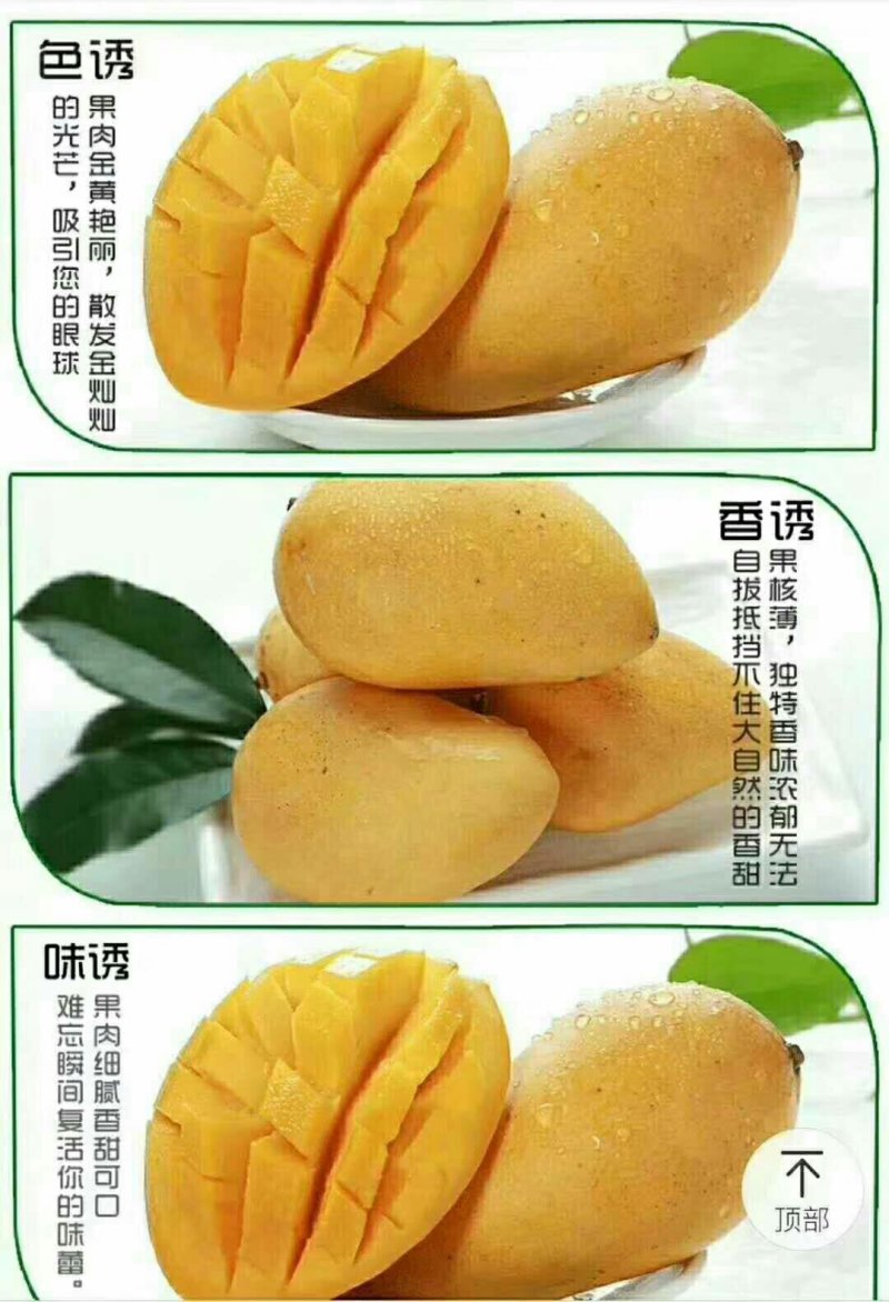 海南小台农
