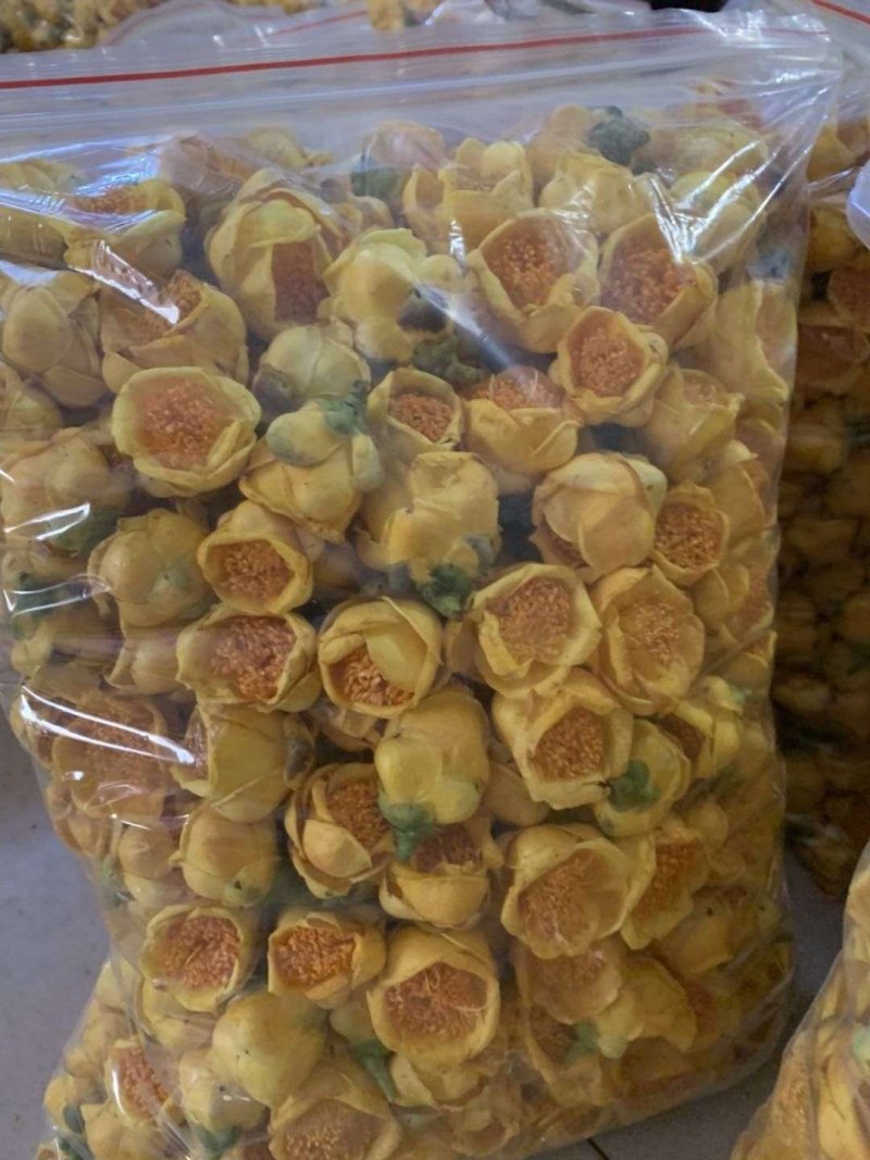 金花茶